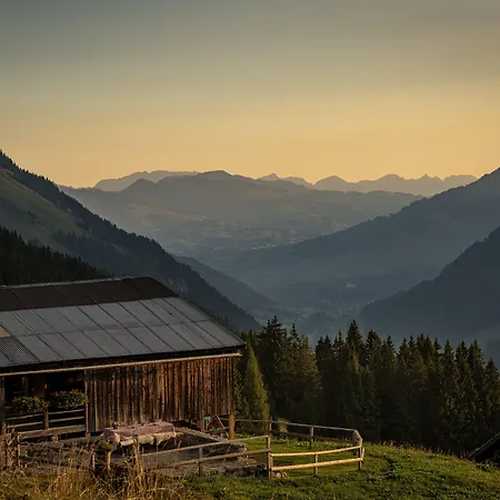 格施塔德宫殿酒店 5*
